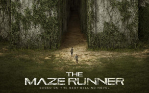 The Maze Runner     1920x1200 the maze runner,  , , , , , , runner, maze, the