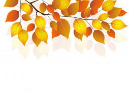      5510x4130  , , twigs, , , , , , autumn, white, background, leaves