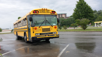 School bus     2048x1152 school bus, , , , , 