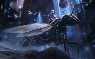 Ant-Man     2560x1600 ant-man,  , -
