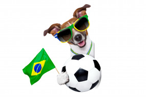      6000x4000 , , football, 2014, world, cup, fifa, brasil, funny, , , cool, dog, logo, flag