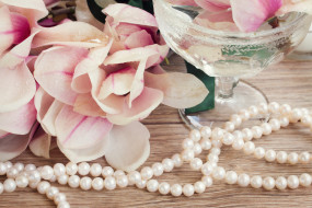      3000x2000 , ,  ,  , flowers, , , , beads, magnolia