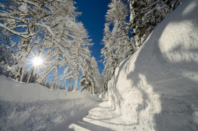 природа, зима, деревья, солнце, снег, сугробы