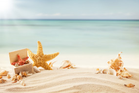      4000x2667 , ,  ,    spa-, starfish, , , , , , , tropics, sea, beach, sand, shells