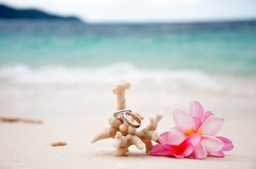      2272x1509 , ,  ,  , flowers, beach, sand, coral, plumeria, rings, wedding