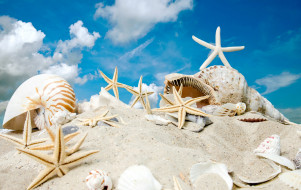      3000x1897 , ,  ,    spa-, sky, sand, summer, sunshine, sea, beach, starfishes, seashells, , , , , 