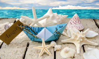      3000x1814 , ,  ,    spa-, starfishes, seashells, sunshine, , beach, sea, , , 