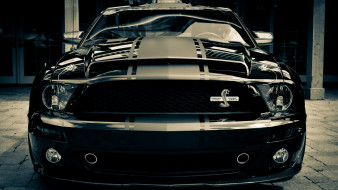      1920x1080 , mustang, ford, snake, super, gt500, shelby