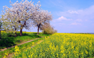     866806 (a): :2880x1800