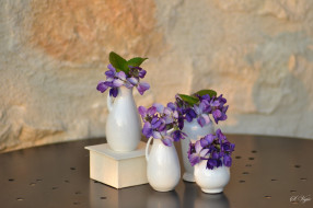      2048x1365 , , , vase, violet