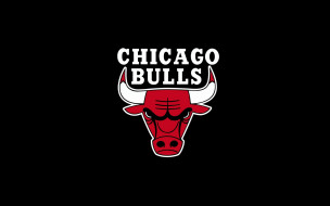      1920x1200 ,  , , , , chicago, bulls