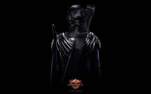 The Hunger Games: Mockingjay     1920x1200 the hunger games,  mockingjay,  ,  mockingjay - part 1, , 