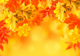      3500x2452 , , leaves, background, , , autumn, 