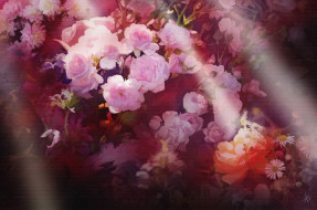 , , , blossoms, rose, bud, petals, leaves, , , , 