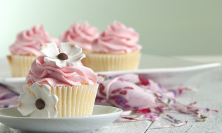      2800x1679 , ,  ,  , , , , , , muffins, dessert, cupcake, cake, cream, sweet, flowers, food