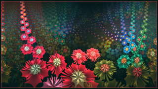      1920x1080 3 ,  , flowers, , , 