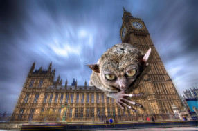 Monster Tarsier in London     2048x1365 monster tarsier in london, ,  , , 
