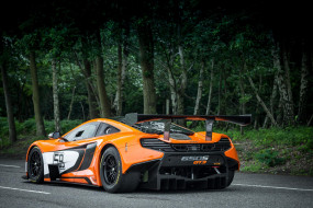 McLaren 650S GT3     2048x1366 mclaren 650s gt3, , mclaren, 