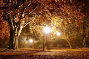 , , autumn, park, , fall, season, lights, night, , 