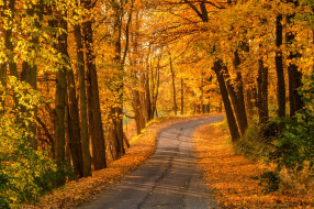      2048x1365 , , colorful, leaves, trees, , , , , , , walk, autumn, park, colors, fall, path, road, forest