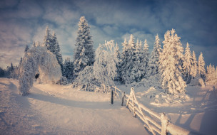      2880x1800 , , winter, nature, snow, tree, , 