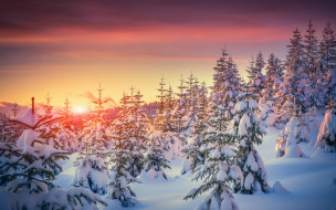      2880x1800 , , , , , sunset, tree, snow, nature, winter, 