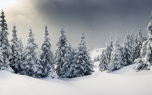      2560x1600 , , , , snow, landscape, winter