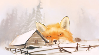 , ,  , winter, fox, , 