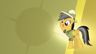     882892 (a): :1920x1080