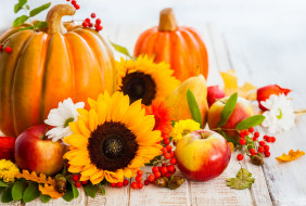 ,    , , , , , , , , , , , sunflower, pumpkin, harvest, autumn