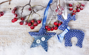      2880x1800 , , , , , berries, wood, snow, merry, decoration, christmas, , , 