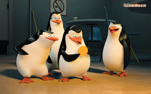 , the penguins of madagascar, , , 