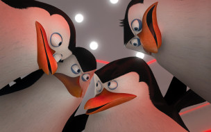      2560x1600 , the penguins of madagascar, , , 