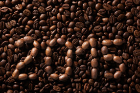      4000x2665 , ,   , beans, coffee, background, 2015, texture