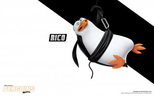 rico, , the penguins of madagascar, , 