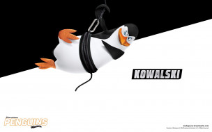 kowalski, , the penguins of madagascar, , 