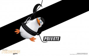Private     1920x1200 private, , the penguins of madagascar, , 