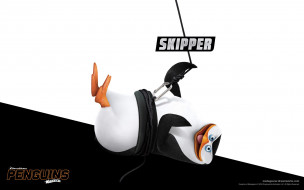 skipper, , the penguins of madagascar, , 