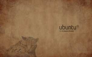      1920x1200 , ubuntu linux, , , 