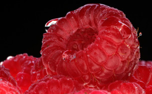 , , -, raspberry, 