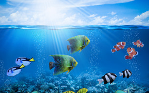      2880x1800 , , ocean, coral, , , , , fishes, , , tropical, reef, underwater, , 