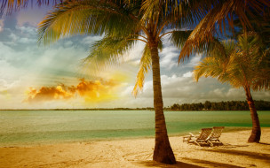 , , , beach, tropical, , , , , summer, sea, palm