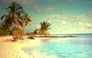 , , , , tropical, , , , vacation, summer, palms, beach, paradise, sunshine, ocean, sea