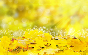      2880x1800 , , , , , colorful, leaves, autumn, 