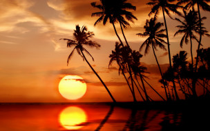      1920x1200 , , , paradise, tropical, , , , , sea, sunset, , , beach, palms