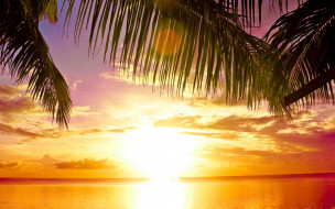 , , , , paradise, tropical, , , , , , sunset, sea, palms, beach