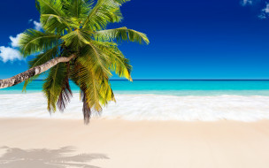      2560x1600 , , palms, beach, tropical, paradise, , summer, vacation, sea, , , ocean, sunshine, , 