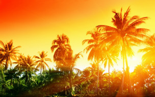 , , , , , sunset, tropical, 