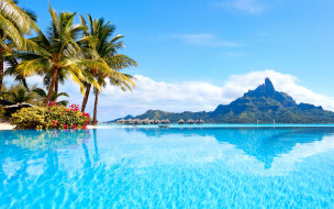 , , vacation, summer, ocean, sunshine, tropical, paradise, beach, palms, sea, , , 