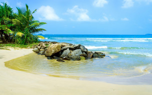      2880x1800 , , ocean, , sea, vacation, palms, beach, paradise, tropical, summer, sunshine, , , , 